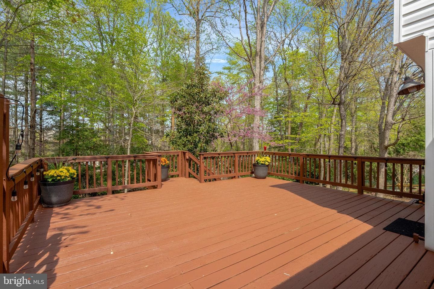 3517 Mount Burnside Way photo 63