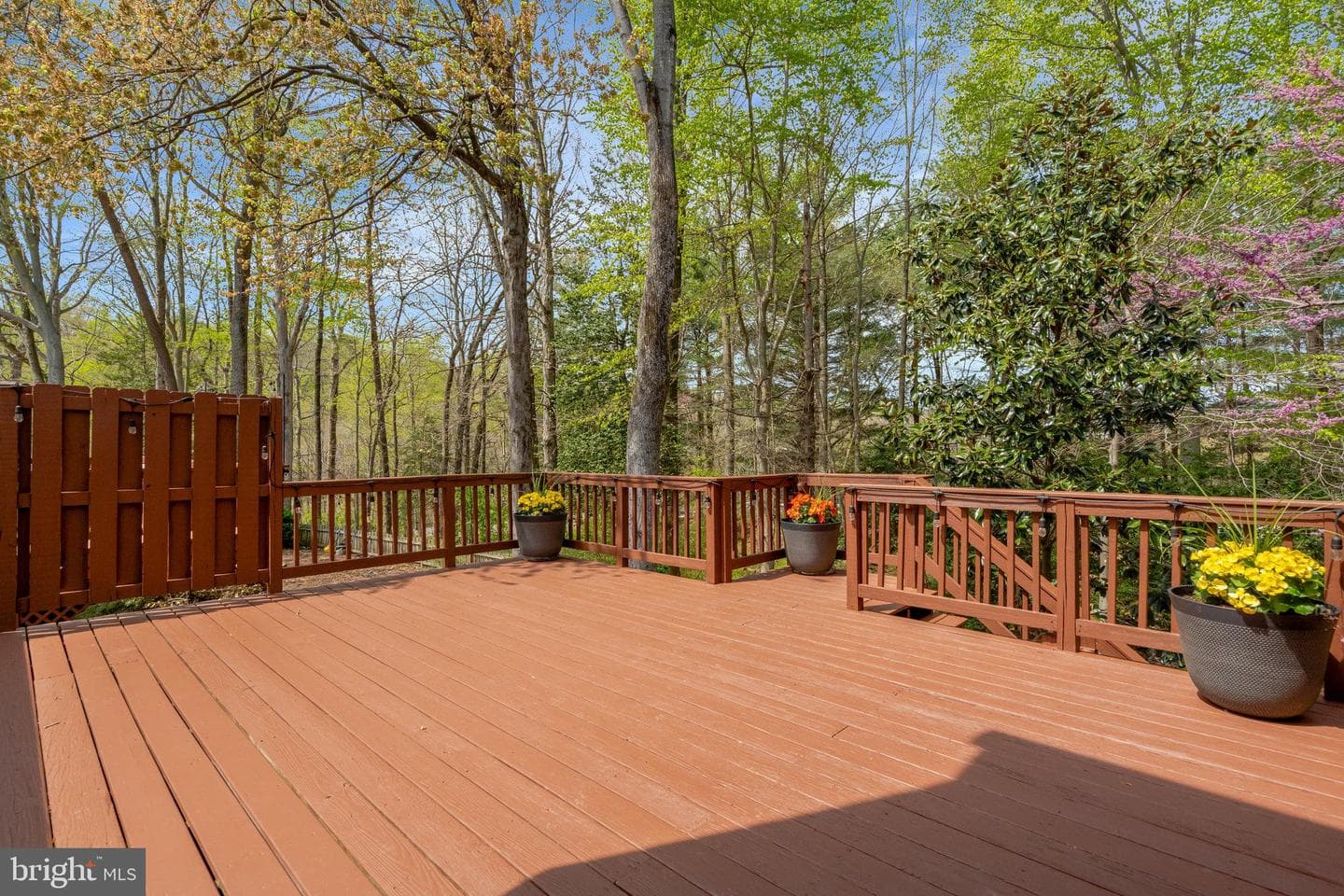 3517 Mount Burnside Way photo 64