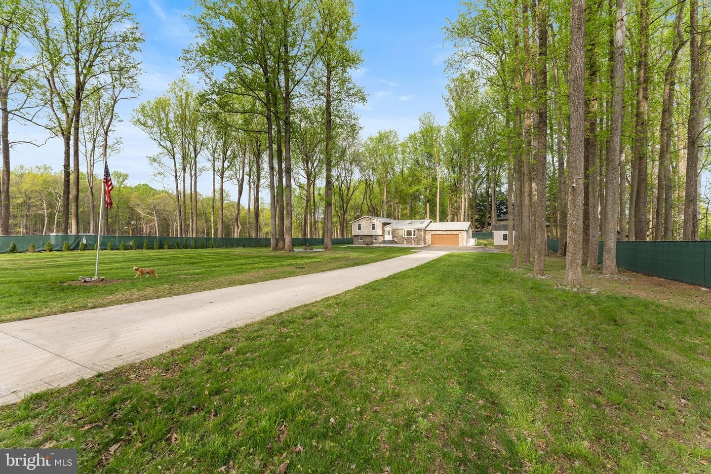 1401 Spring Lake Drive photo 71