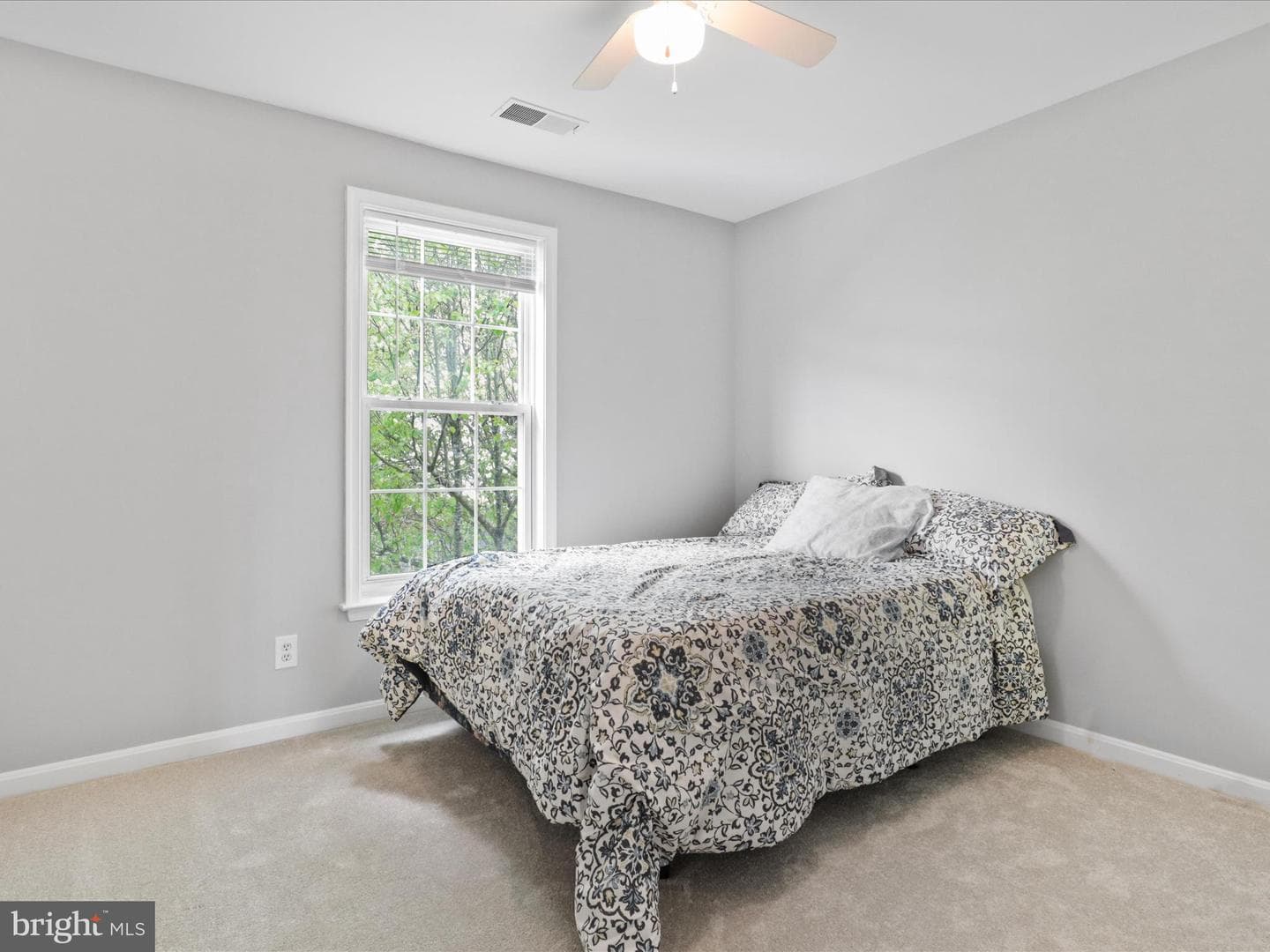 14955 Chicory Court photo 32