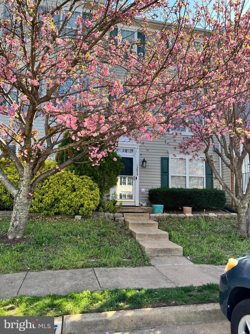 12039 Elliots Oak Place photo 1