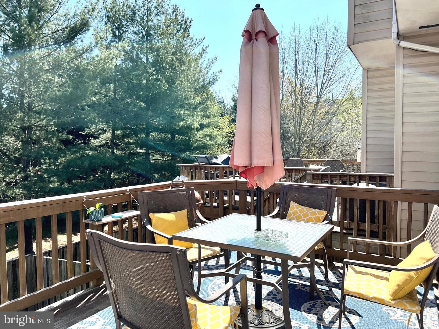 12039 Elliots Oak Place photo 14