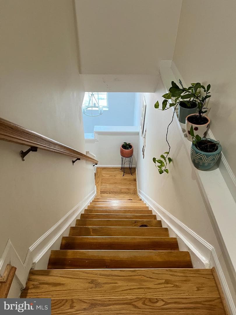 12039 Elliots Oak Place photo 33