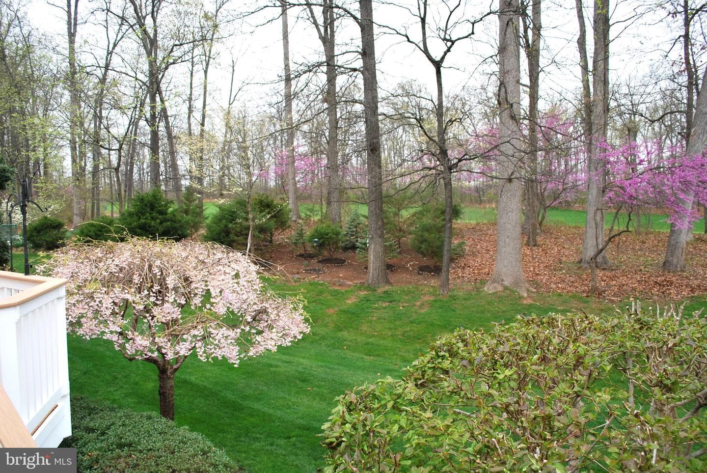5332 Antioch Ridge Drive photo 4