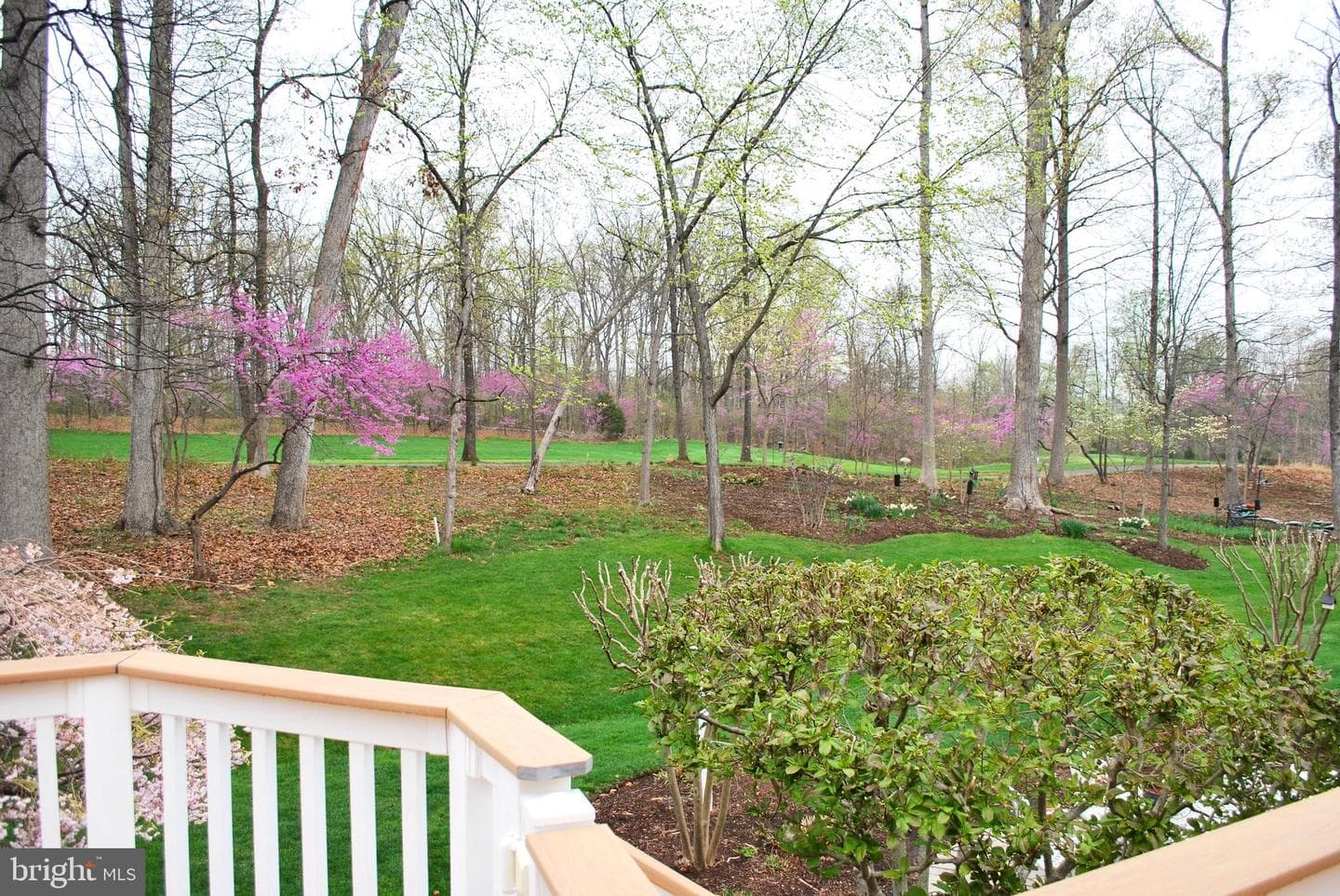 5332 Antioch Ridge Drive photo 5
