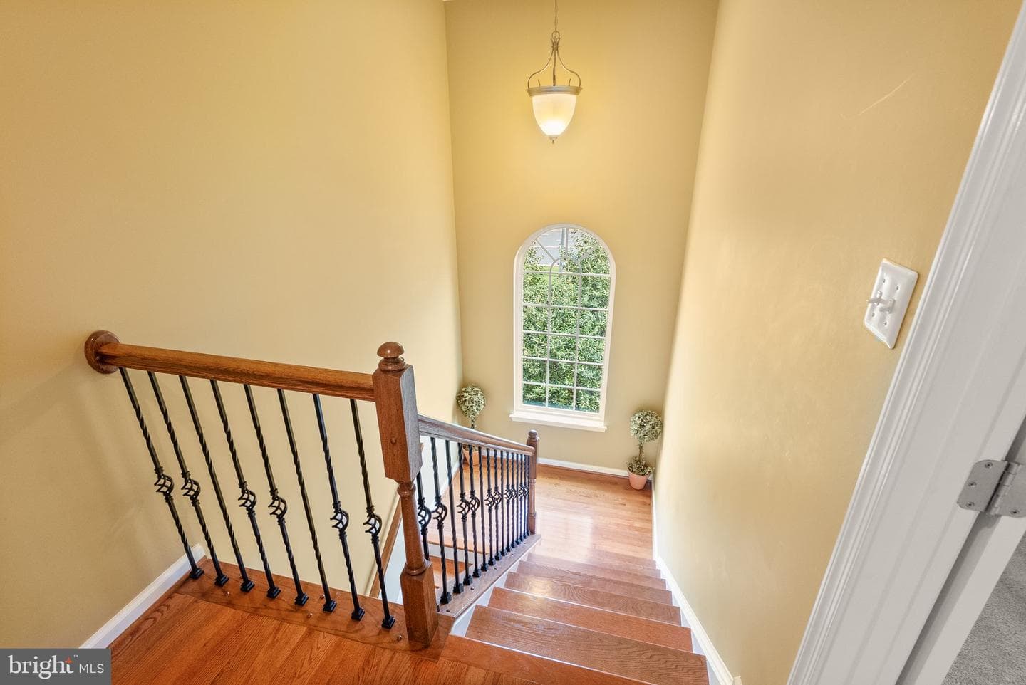 13651 Hastenbeck Drive photo 21