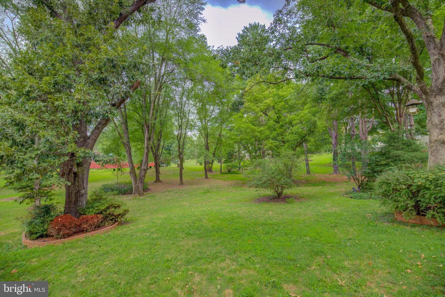 8154 Blandsford Drive photo 39