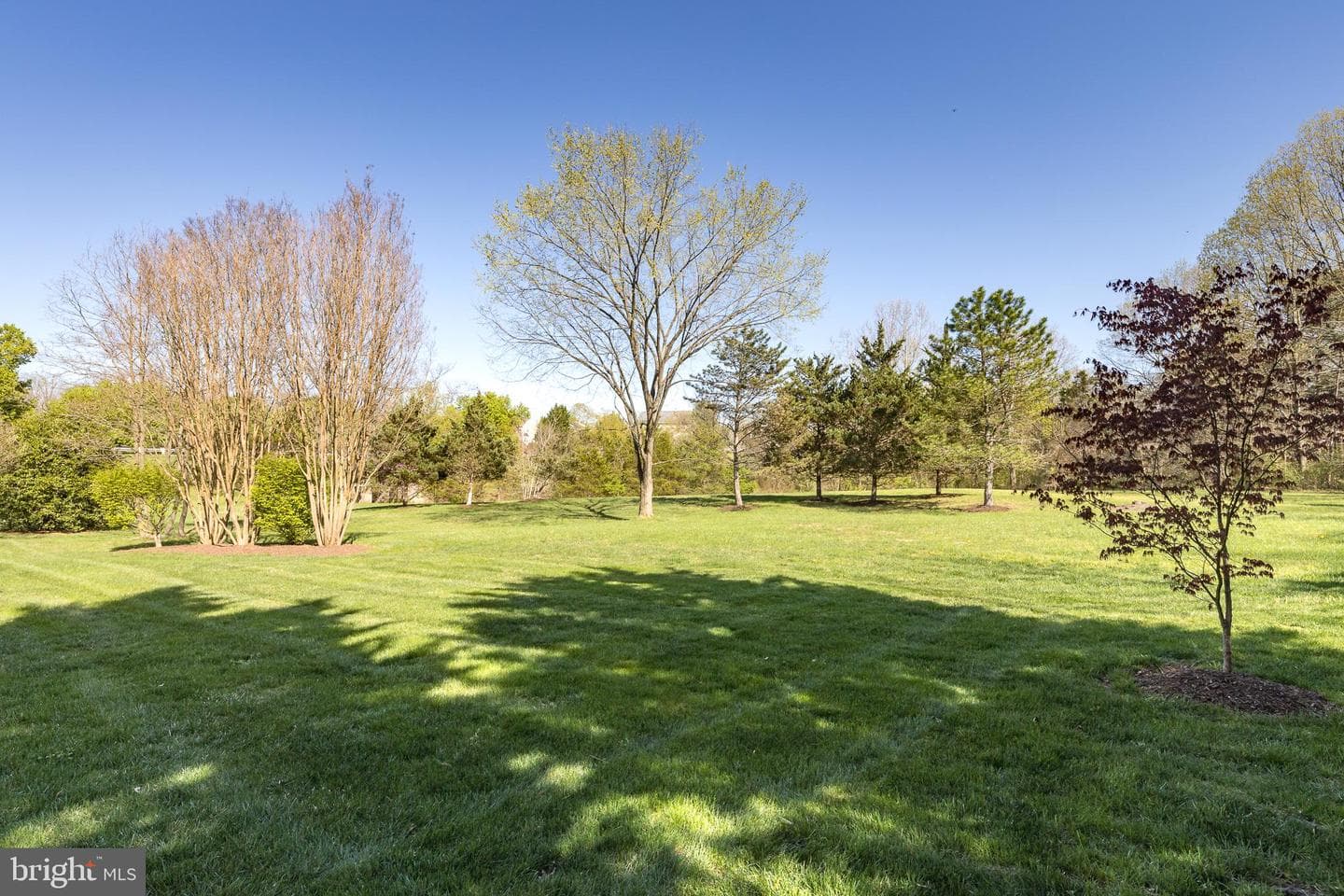 12501 Chippenham Court photo 52