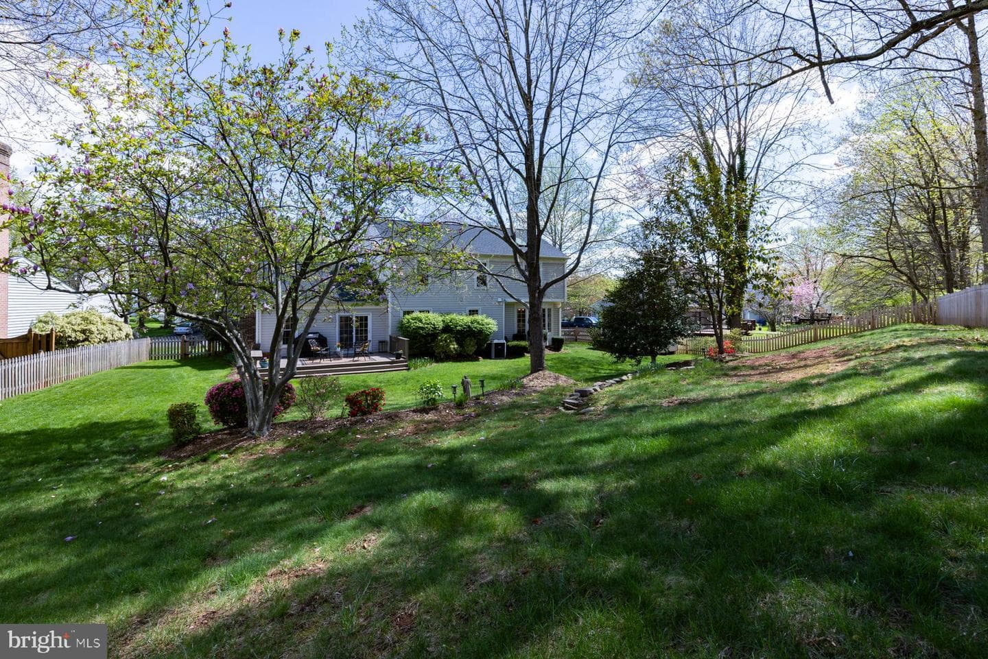 10377 Sorrell Drive photo 46