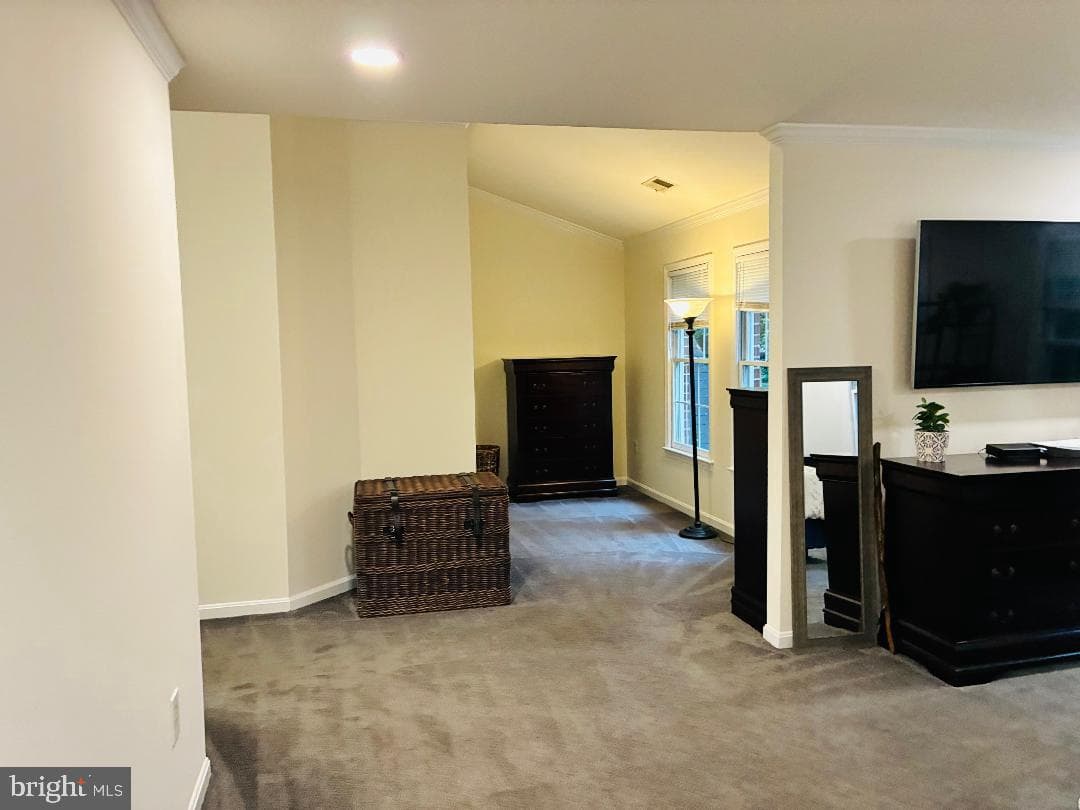 6870 Lodgepole Court photo 29