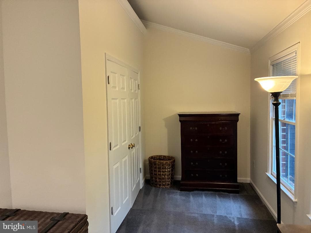 6870 Lodgepole Court photo 30