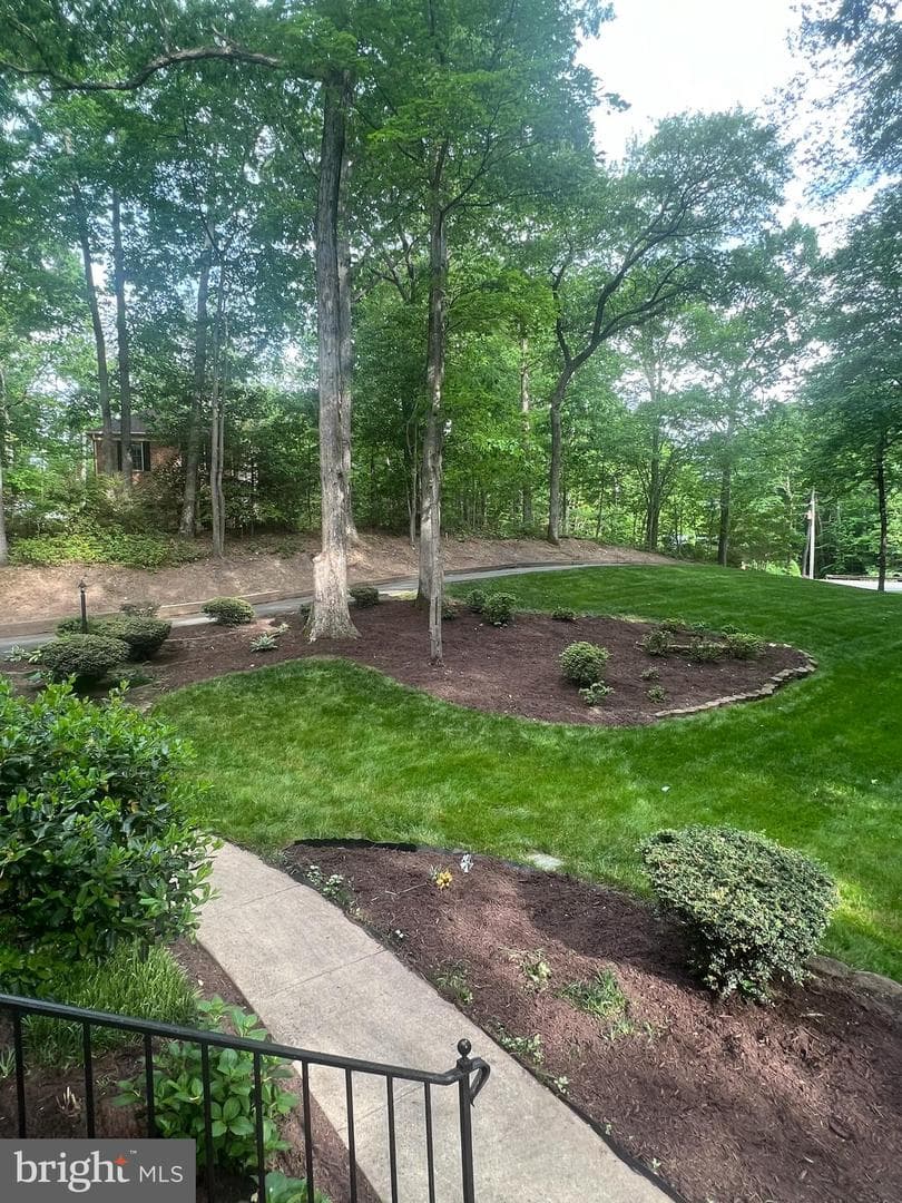6870 Lodgepole Court photo 45