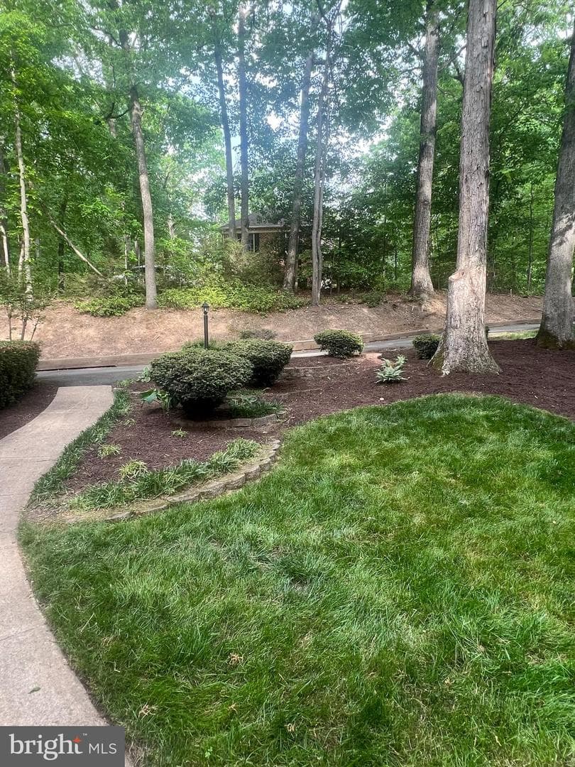6870 Lodgepole Court photo 47