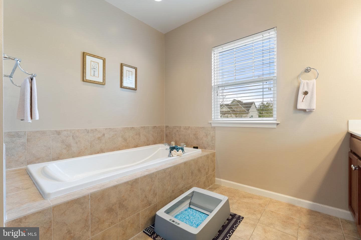 16452 Chattanooga Lane photo 55