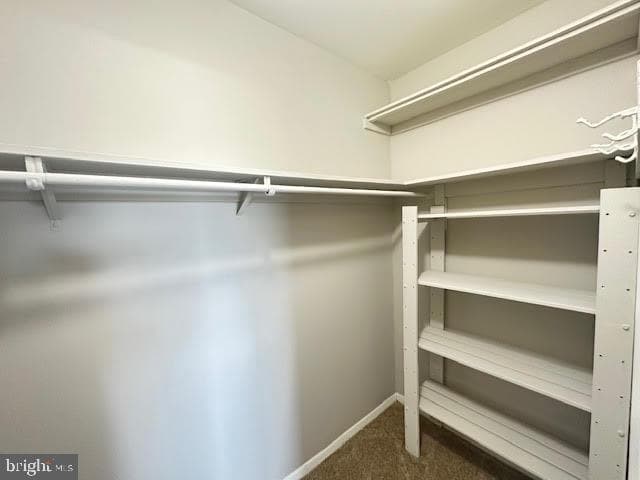 12703 Dara Drive #302 photo 21