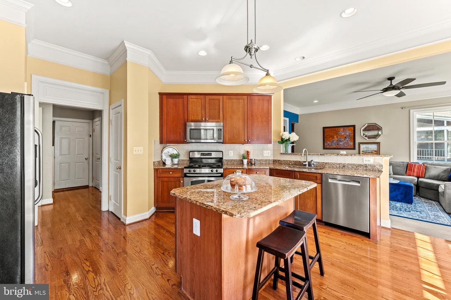 9338 Falling Water Drive photo 11