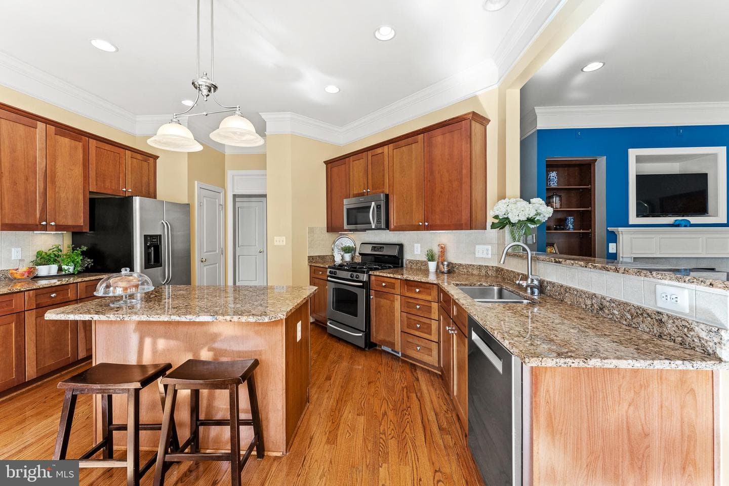 9338 Falling Water Drive photo 14
