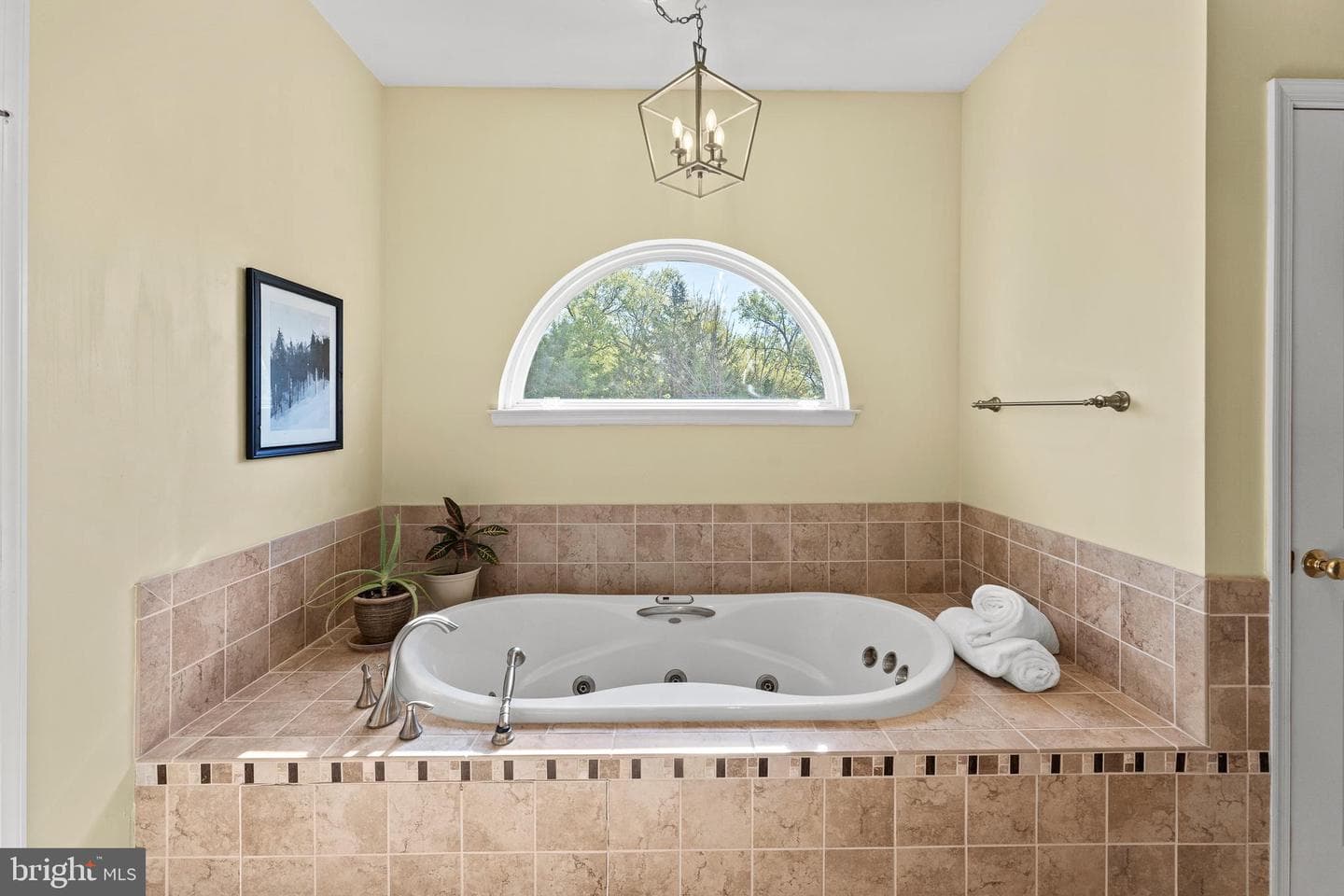 9338 Falling Water Drive photo 37
