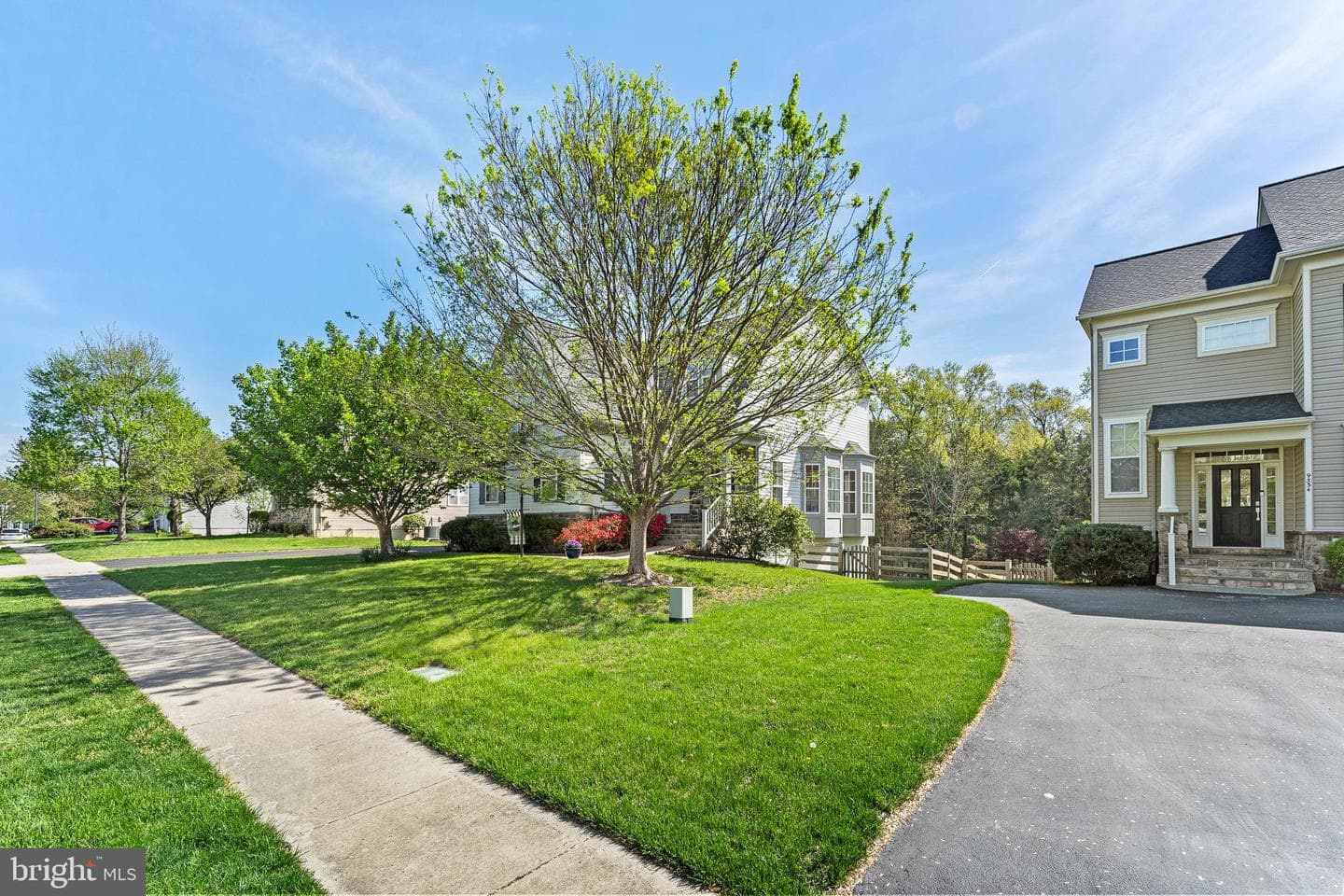 9338 Falling Water Drive photo 67