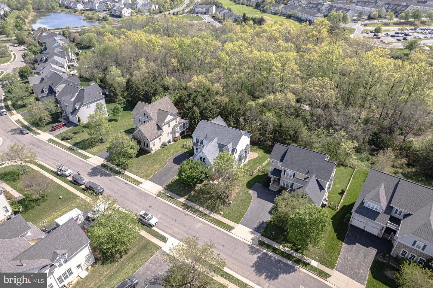 9338 Falling Water Drive photo 87