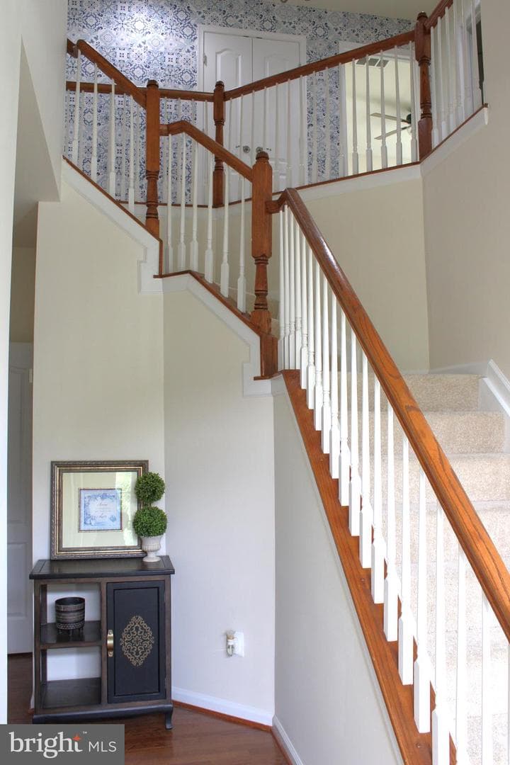 5344 Austra Place photo 25