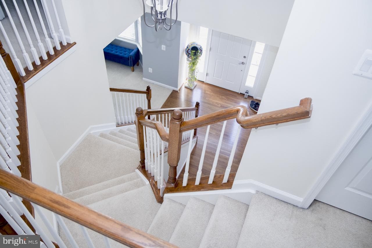 5344 Austra Place photo 33