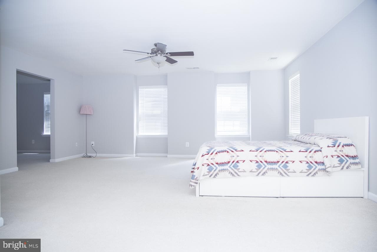 5344 Austra Place photo 41