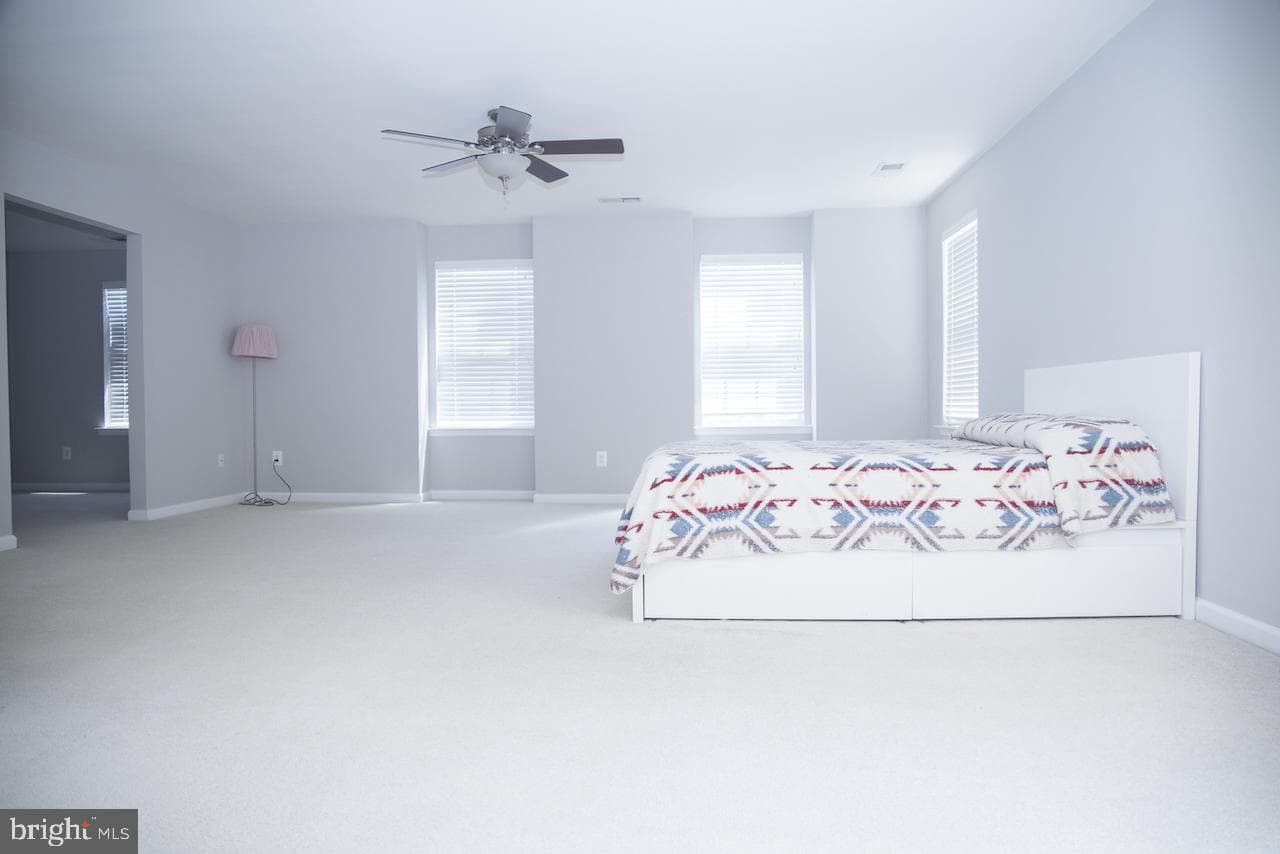 5344 Austra Place photo 42