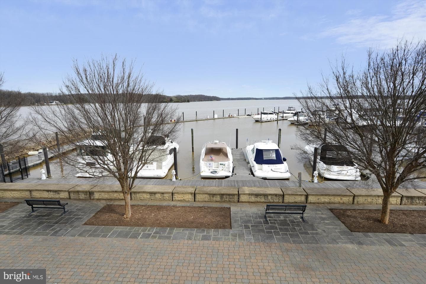 485 Harbor Side Street #411 photo 76