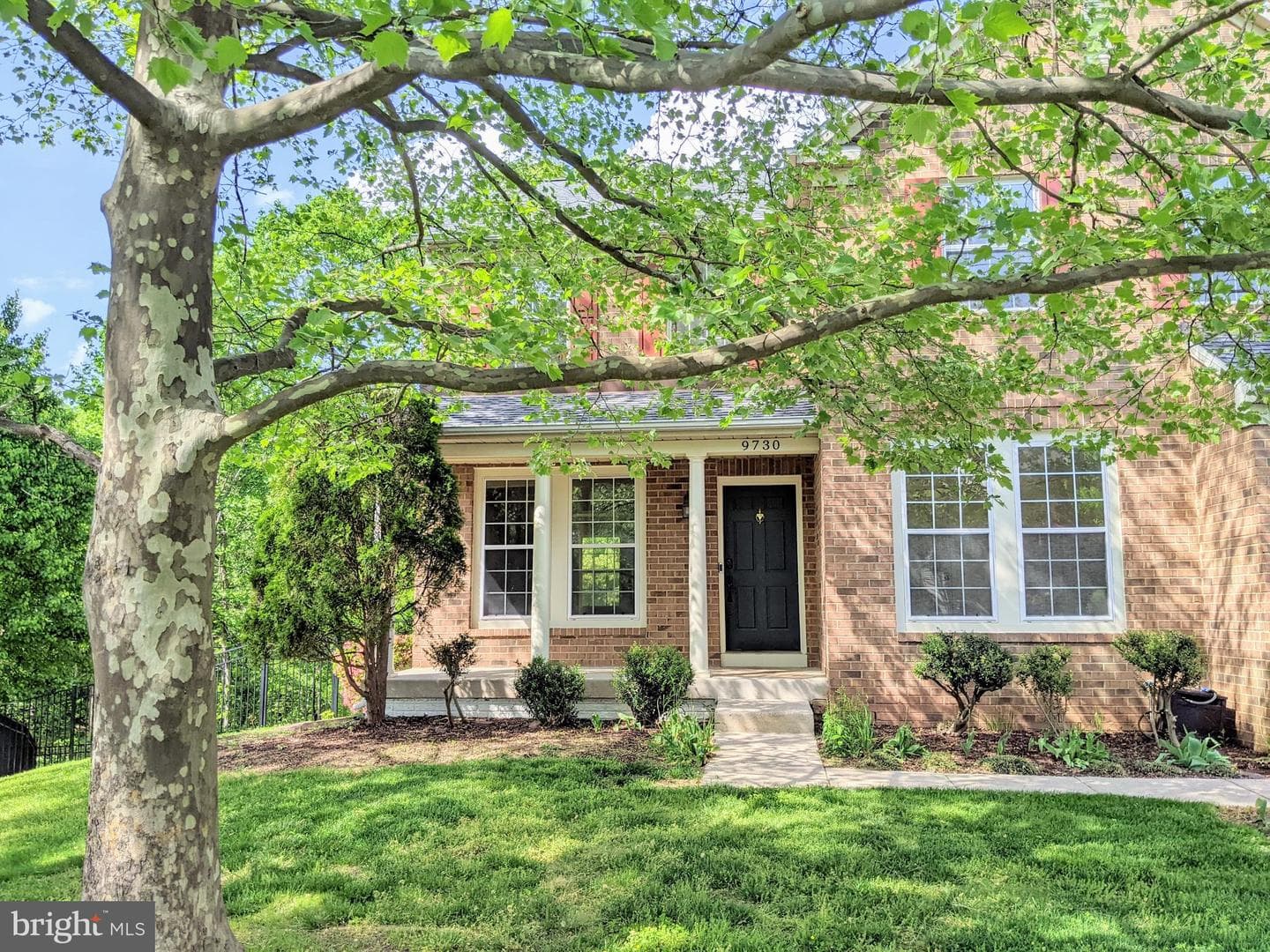 9730 Allegro Drive photo 3