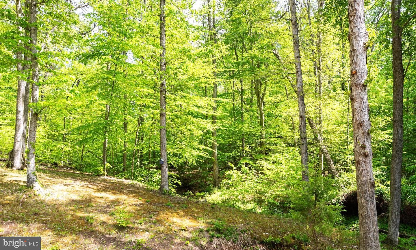9505 Brentsville Road photo 27