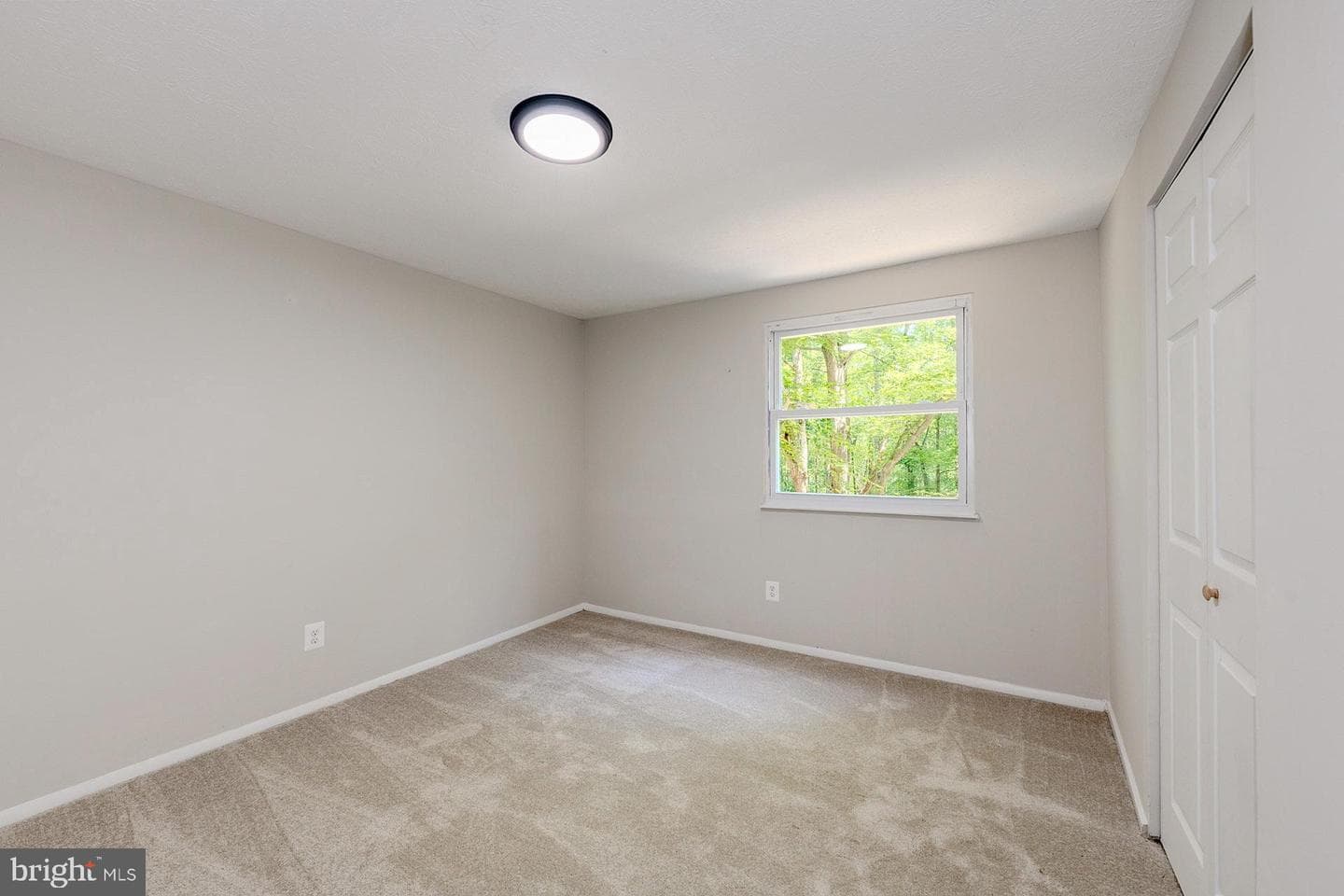 8032 Gracie Drive photo 19