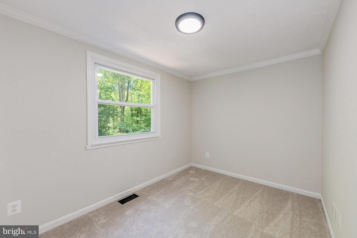 8032 Gracie Drive photo 20