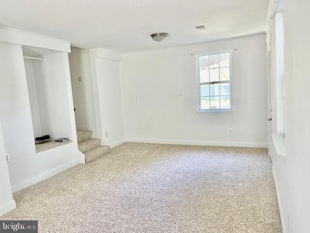 13203 Treetop Court photo 14