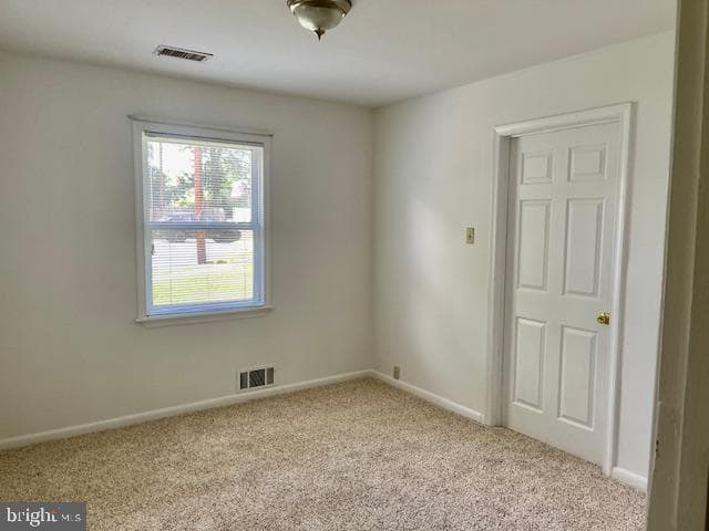 13203 Treetop Court photo 15