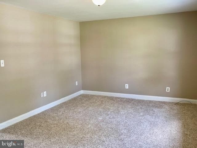 13203 Treetop Court photo 5