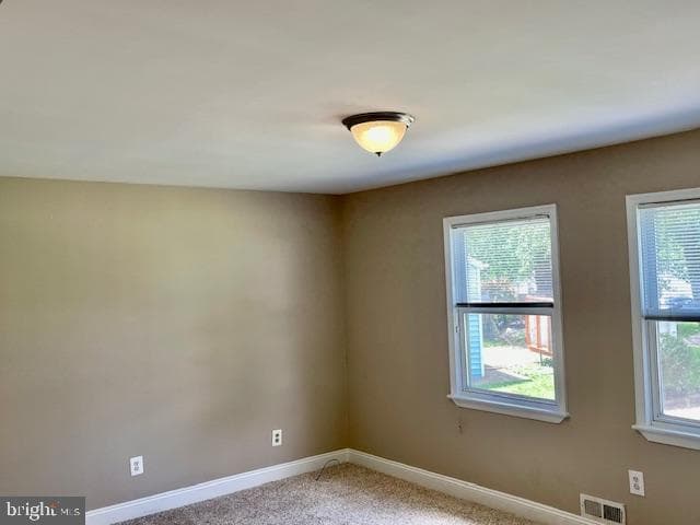 13203 Treetop Court photo 6