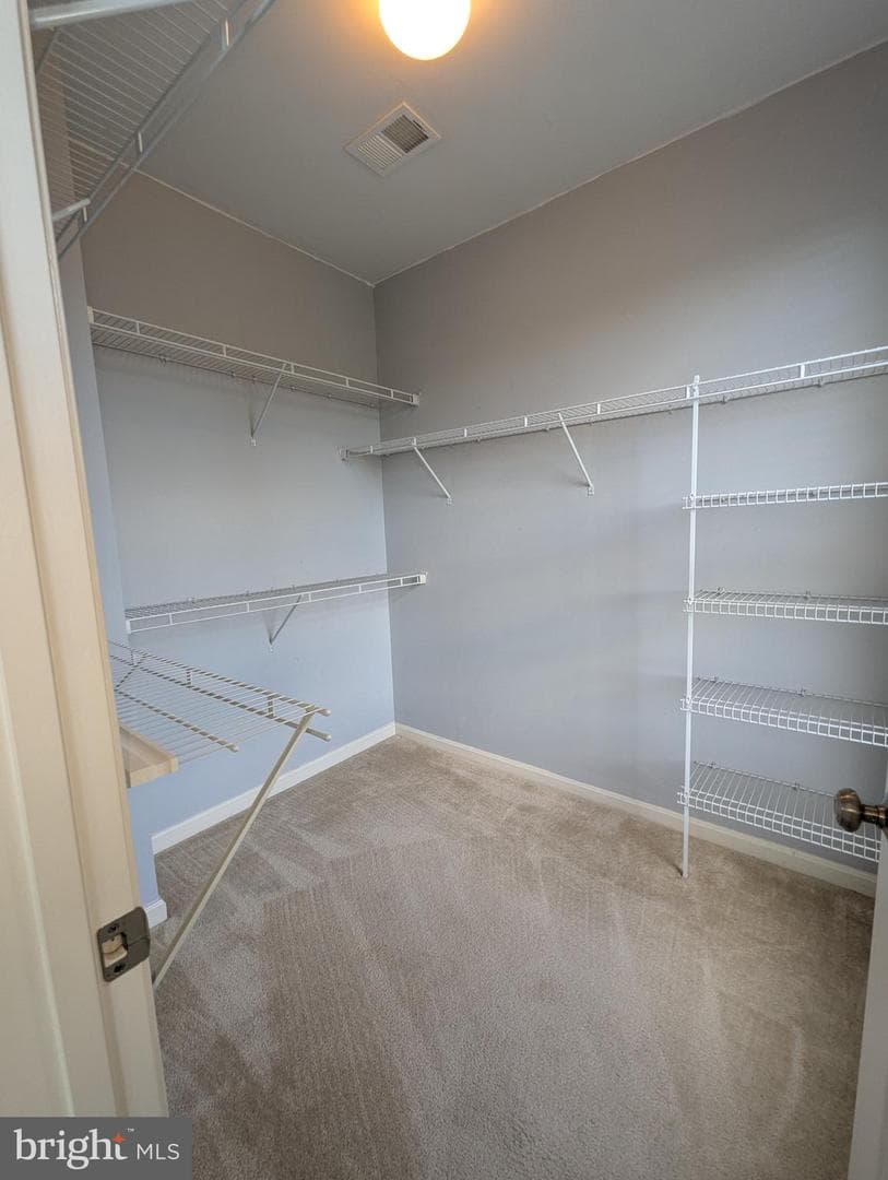 7848 Cedar Branch Drive photo 32