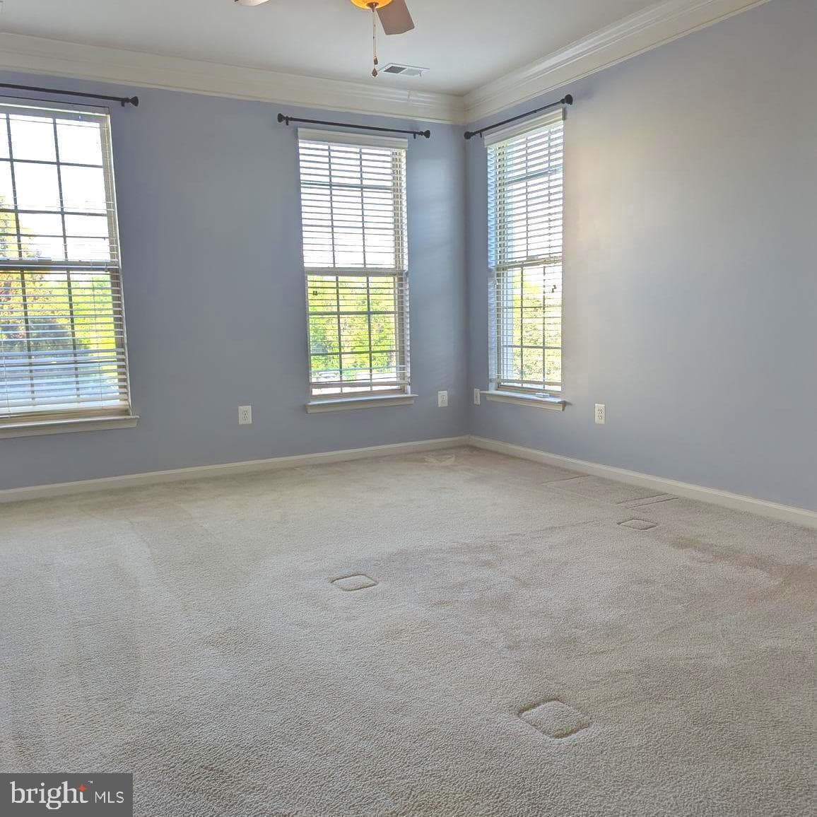 7848 Cedar Branch Drive photo 33