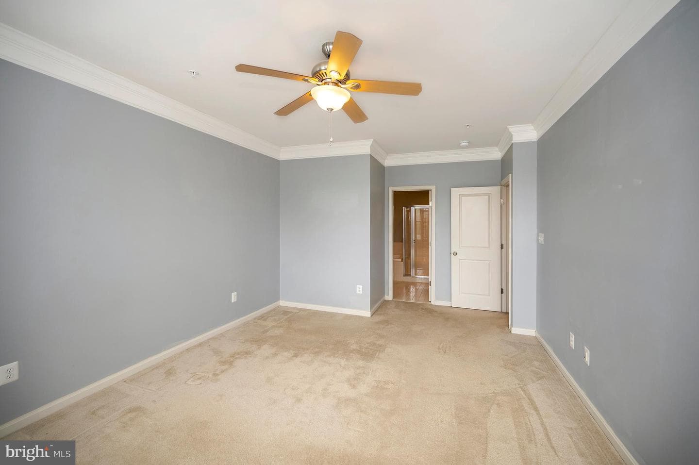 7848 Cedar Branch Drive photo 62