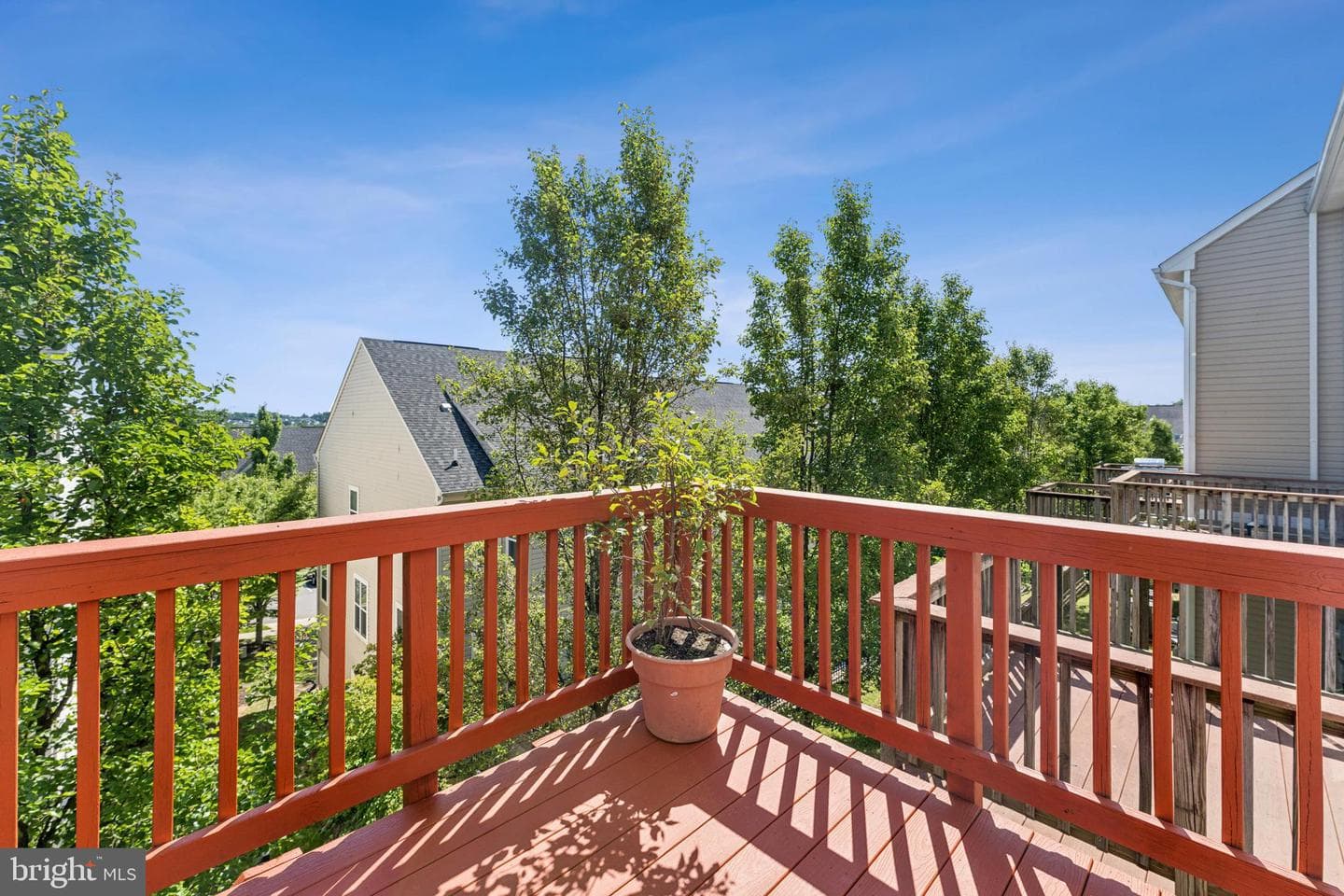 2924 Truffle Oak Place photo 21