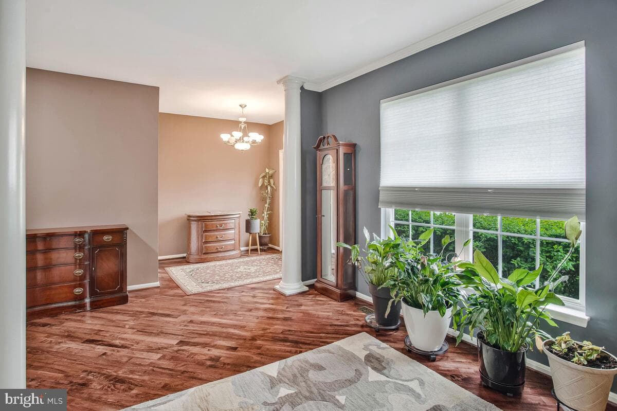 6427 Osprey Court photo 3