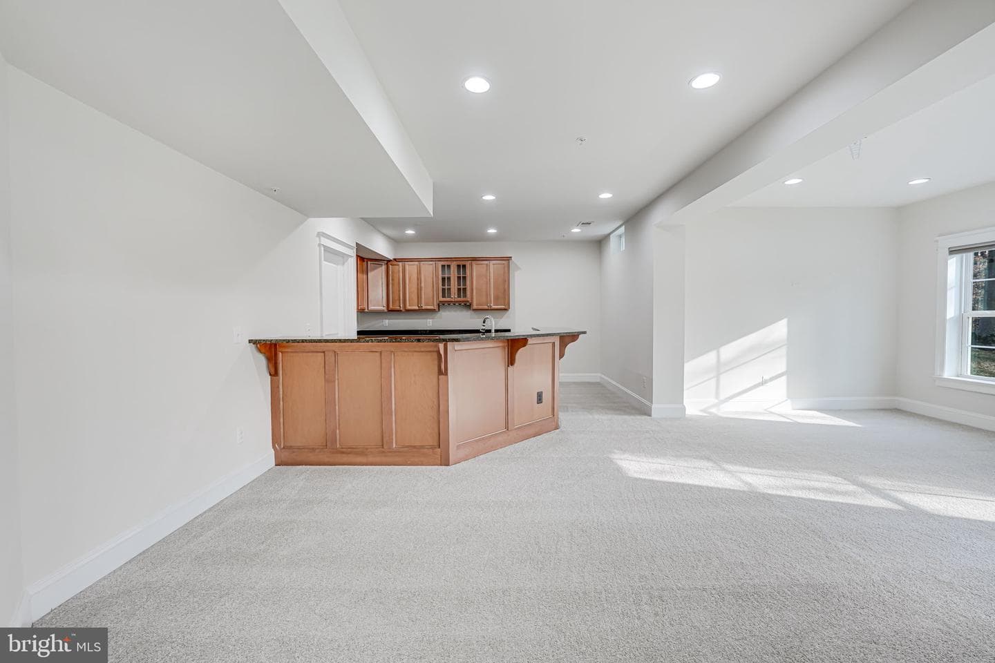 17064 Belle Isle Drive photo 63
