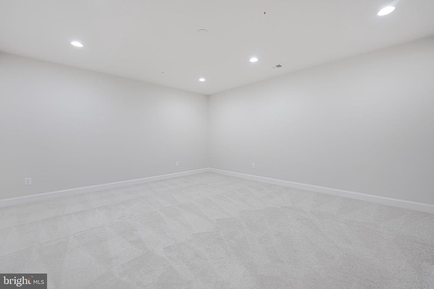 17064 Belle Isle Drive photo 74