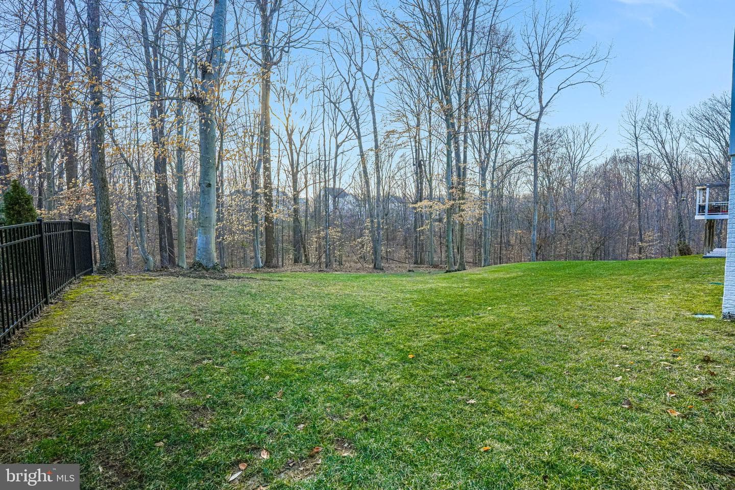 17064 Belle Isle Drive photo 81