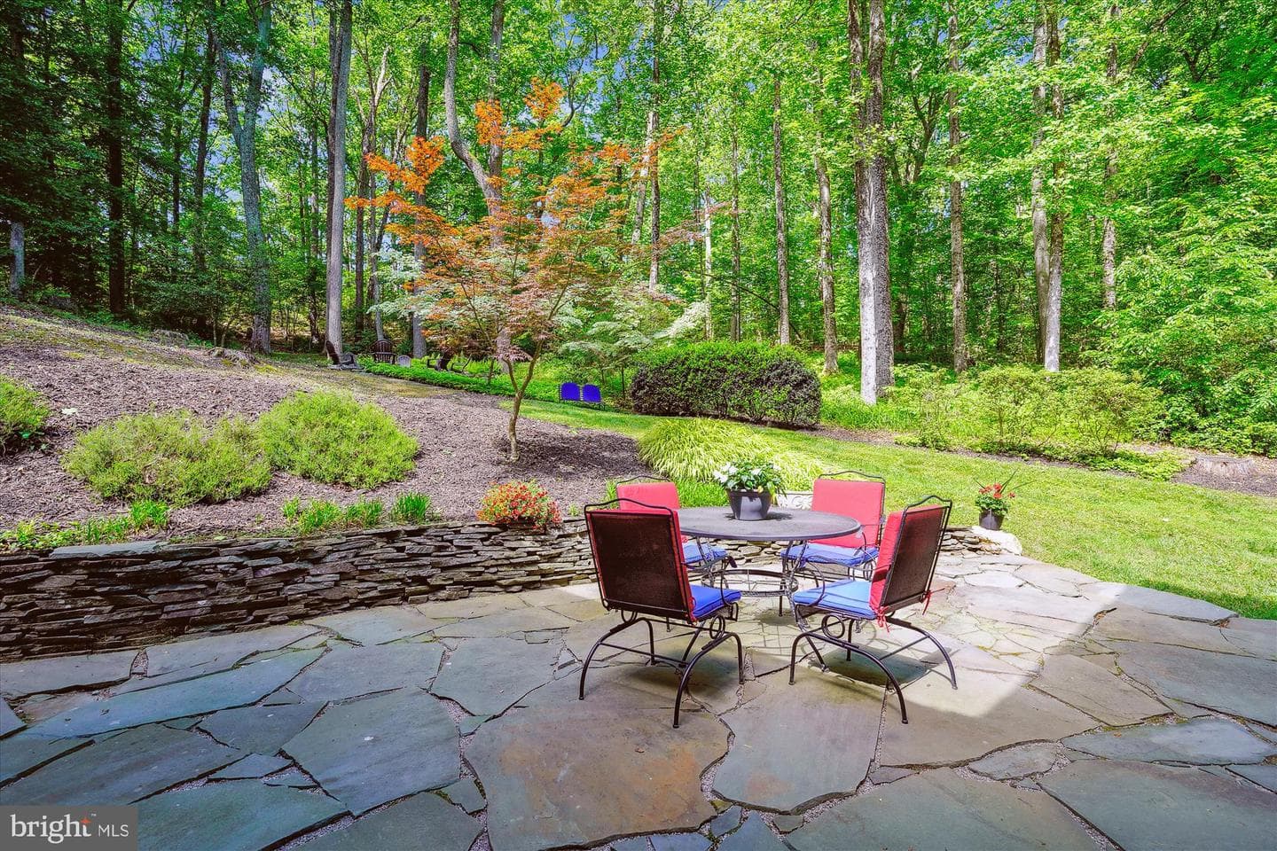 6521 Commonwealth Court photo 44