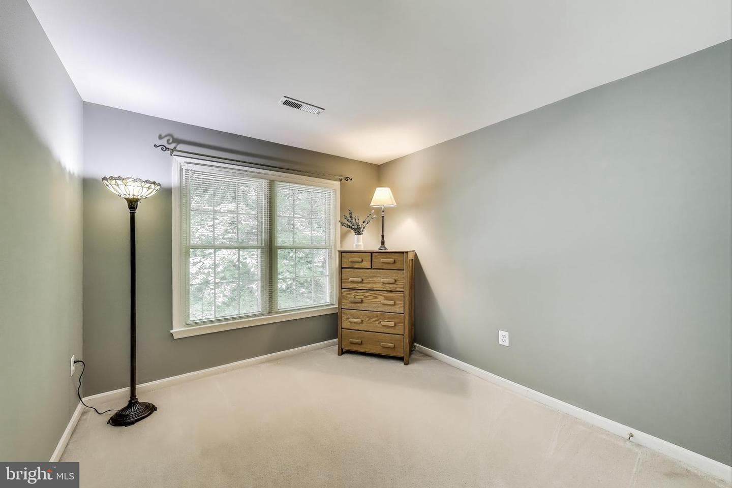 3940 Spirea Court photo 33