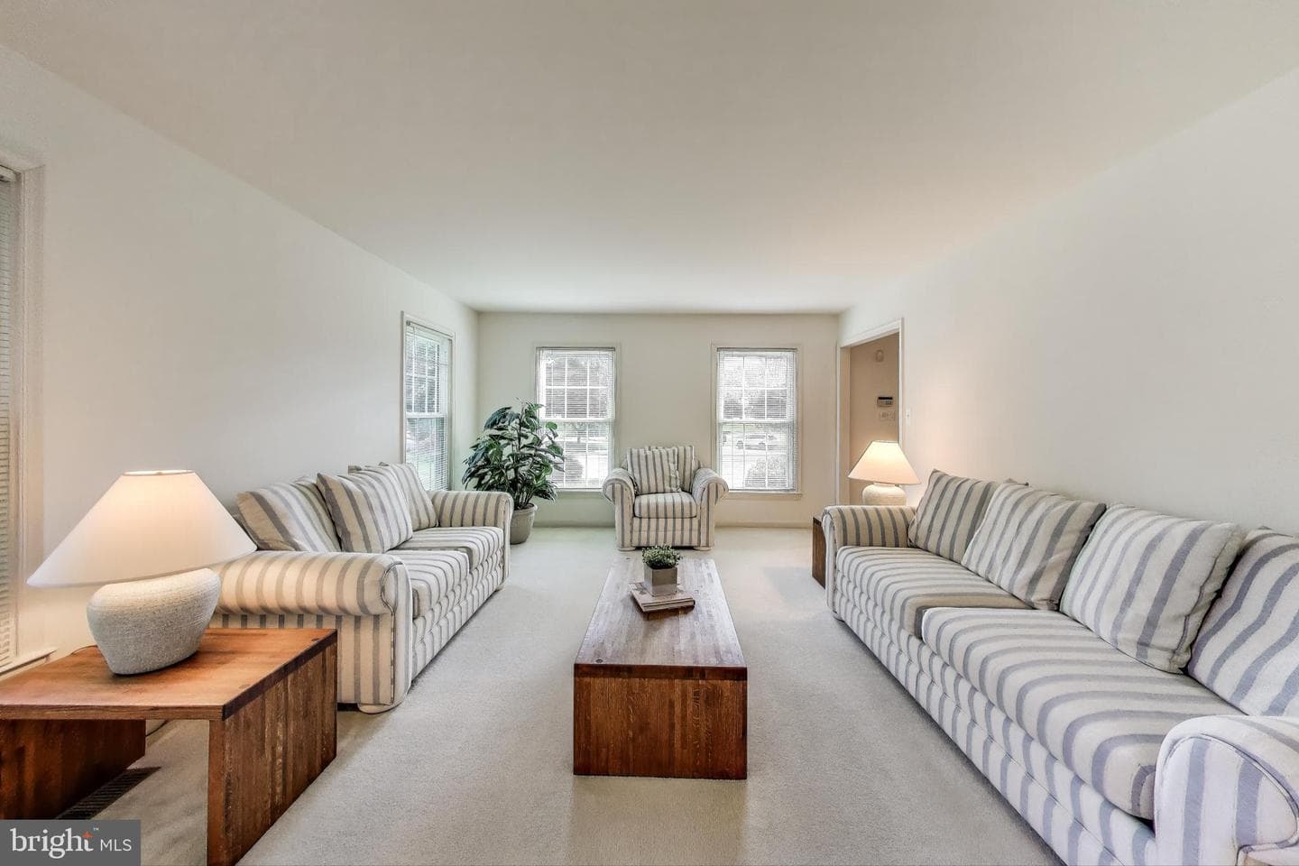 3940 Spirea Court photo 5