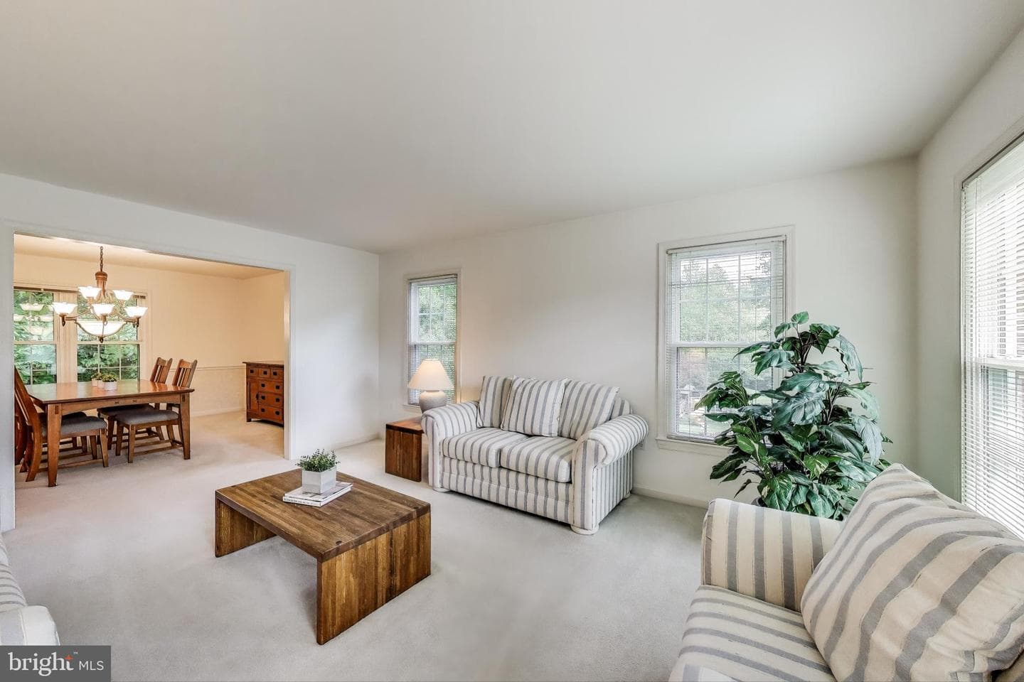 3940 Spirea Court photo 6
