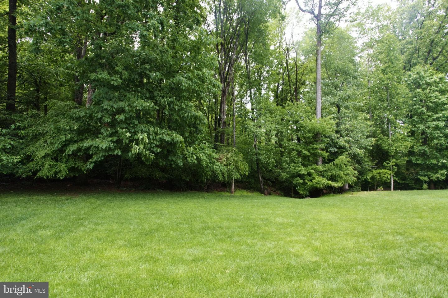 14598 Marr Court photo 17